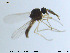 ( - MM-Cer20)  @11 [ ] CreativeCommons - Attribution Non-Commercial Share-Alike (2019) Unspecified NTNU University Museum