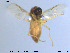  ( - MM-Cer21)  @11 [ ] CreativeCommons - Attribution Non-Commercial Share-Alike (2019) Unspecified NTNU University Museum