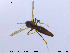  ( - MM-Cer35)  @11 [ ] CreativeCommons - Attribution Non-Commercial Share-Alike (2019) Unspecified NTNU University Museum