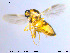  ( - MM-Cer39)  @13 [ ] CreativeCommons - Attribution Non-Commercial Share-Alike (2019) Unspecified NTNU University Museum
