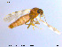  ( - MM-Cer49)  @12 [ ] CreativeCommons - Attribution Non-Commercial Share-Alike (2019) Unspecified NTNU University Museum