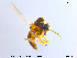  ( - MM-Cer52)  @11 [ ] CreativeCommons - Attribution Non-Commercial Share-Alike (2019) Unspecified NTNU University Museum