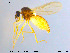  ( - MM-Cer53)  @11 [ ] CreativeCommons - Attribution Non-Commercial Share-Alike (2019) Unspecified NTNU University Museum