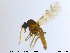  ( - MM-Cer54)  @11 [ ] CreativeCommons - Attribution Non-Commercial Share-Alike (2019) Unspecified NTNU University Museum