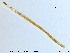  ( - MM-Cer59)  @12 [ ] CreativeCommons - Attribution Non-Commercial Share-Alike (2019) Unspecified NTNU University Museum