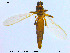  ( - MM-Cer73)  @11 [ ] CreativeCommons - Attribution Non-Commercial Share-Alike (2019) Unspecified NTNU University Museum