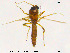  ( - MM-Cer95)  @11 [ ] CreativeCommons - Attribution Non-Commercial Share-Alike (2019) Unspecified NTNU University Museum