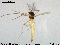  ( - MM-CH13)  @11 [ ] CreativeCommons - Attribution Share-Alike (2019) NTNU Museum of Natural History and Archaeology NTNU University Museum, Department of Natural History