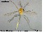  ( - MM-CH17)  @11 [ ] CreativeCommons - Attribution Share-Alike (2019) NTNU Museum of Natural History and Archaeology NTNU University Museum, Department of Natural History