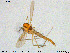  ( - MM-CH171)  @11 [ ] Creative Commons  Attribution Non-Commercial Share-Alike (2020) NTNU University Museum, Department of Natural History NTNU University Museum, Department of Natural History