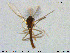  ( - MM-CH180)  @11 [ ] Creative Commons  Attribution Non-Commercial Share-Alike (2020) NTNU University Museum, Department of Natural History NTNU University Museum, Department of Natural History