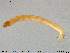  ( - MM-CH183)  @11 [ ] Creative Commons  Attribution Non-Commercial Share-Alike (2020) NTNU University Museum, Department of Natural History NTNU University Museum, Department of Natural History