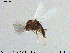  ( - MM-CH194)  @11 [ ] Creative Commons  Attribution Non-Commercial Share-Alike (2020) NTNU University Museum, Department of Natural History NTNU University Museum, Department of Natural History