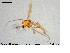  ( - MM-CH21)  @11 [ ] CreativeCommons - Attribution Share-Alike (2019) NTNU Museum of Natural History and Archaeology NTNU University Museum, Department of Natural History