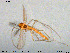  ( - MM-CH233)  @11 [ ] Creative Commons  Attribution Non-Commercial Share-Alike (2020) NTNU University Museum, Department of Natural History NTNU University Museum, Department of Natural History