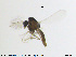  ( - MM-CH36)  @11 [ ] CreativeCommons - Attribution Share-Alike (2019) NTNU Museum of Natural History and Archaeology NTNU Museum of Natural History and Archaeology
