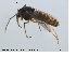  ( - MM-CH53)  @11 [ ] CreativeCommons - Attribution Share-Alike (2019) NTNU Museum of Natural History and Archaeology NTNU Museum of Natural History and Archaeology