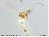 ( - MM-CH55)  @11 [ ] CreativeCommons - Attribution Share-Alike (2019) NTNU Museum of Natural History and Archaeology NTNU Museum of Natural History and Archaeology