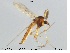  ( - MM-CH57)  @13 [ ] CreativeCommons - Attribution Share-Alike (2019) NTNU Museum of Natural History and Archaeology NTNU Museum of Natural History and Archaeology