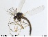  ( - MM-CH64)  @12 [ ] CreativeCommons - Attribution Share-Alike (2019) NTNU Museum of Natural History and Archaeology NTNU Museum of Natural History and Archaeology