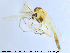  ( - MM-CH69)  @11 [ ] CreativeCommons - Attribution Share-Alike (2019) NTNU Museum of Natural History and Archaeology NTNU Museum of Natural History and Archaeology