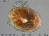  ( - HYDCA240)  @11 [ ] Creative Commons  Attribution Non-Commercial Share-Alike (2019) NTNU University Museum, Department of Natural History NTNU University Museum, Department of Natural History