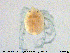  ( - HYDCA348)  @11 [ ] Creative Commons  Attribution Non-Commercial Share-Alike (2020) NTNU University Museum, Department of Natural History NTNU University Museum, Department of Natural History