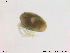  ( - HYDCA358)  @11 [ ] Creative Commons Attribution NonCommercial ShareAlike (2020) NTNU University Museum, Department of Natural History NTNU University Museum, Department of Natural History