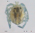  ( - HYDCA374)  @11 [ ] Creative Commons Attribution NonCommercial ShareAlike (2020) NTNU University Museum, Department of Natural History NTNU University Museum, Department of Natural History