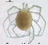  ( - HYDCA385)  @11 [ ] Creative Commons Attribution NonCommercial ShareAlike (2020) NTNU University Museum, Department of Natural History NTNU University Museum, Department of Natural History