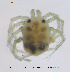 ( - HYDCA391)  @11 [ ] Creative Commons Attribution NonCommercial ShareAlike (2020) NTNU University Museum, Department of Natural History NTNU University Museum, Department of Natural History
