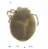  ( - HYDCA412)  @11 [ ] Creative Commons Attribution NonCommercial ShareAlike (2020) NTNU University Museum, Department of Natural History NTNU University Museum, Department of Natural History