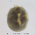  ( - HYDCA422)  @11 [ ] Creative Commons Attribution NonCommercial ShareAlike (2020) NTNU University Museum, Department of Natural History NTNU University Museum, Department of Natural History