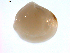  ( - 11MMMOL-00029)  @13 [ ] CreativeCommons - Attribution  Unspecified Centre for Biodiversity Genomics