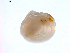  ( - 11MMMOL-00030)  @12 [ ] CreativeCommons - Attribution  Unspecified Centre for Biodiversity Genomics