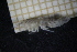  (Goesia - HB2B_1)  @11 [ ] CreativeCommons  Attribution Non-Commercial Share-Alike (2024) Mikolaj Mazurkiewicz Institute of Oceanology Polish Academy of Sciences