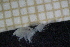 ( - HB2B_3.2)  @11 [ ] CreativeCommons  Attribution Non-Commercial Share-Alike (2024) Mikolaj Mazurkiewicz Institute of Oceanology Polish Academy of Sciences