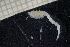  ( - HB2C_1)  @11 [ ] CreativeCommons  Attribution Non-Commercial Share-Alike (2024) Mikolaj Mazurkiewicz Institute of Oceanology Polish Academy of Sciences
