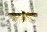  ( - CNCLEP00156813)  @12 [ ] CreativeCommons - Attribution Non-Commercial Share-Alike (2017) Canadian National Collection Canadian National Collection