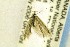  ( - CNCLEP00157473)  @13 [ ] CreativeCommons - Attribution Non-Commercial Share-Alike (2017) Canadian National Collection Canadian National Collection