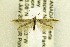  ( - CNCLEP00157474)  @14 [ ] CreativeCommons - Attribution Non-Commercial Share-Alike (2017) Canadian National Collection Canadian National Collection
