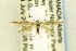  ( - CNCLEP00157476)  @14 [ ] CreativeCommons - Attribution Non-Commercial Share-Alike (2017) Canadian National Collection Canadian National Collection