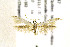  ( - AC005637a)  @11 [ ] CreativeCommons - Attribution Non-Commercial Share-Alike (2018) Jean-François Landry Canadian National Collection