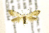  ( - AC008164)  @13 [ ] CreativeCommons - Attribution Non-Commercial Share-Alike (2018) Jean-François Landry Canadian National Collection