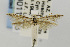  ( - CNCLEP00011993)  @13 [ ] CreativeCommons - Attribution Non-Commercial Share-Alike (2011) Jean-Francois Landry Canadian National Collection