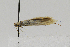  ( - CNCLEP00029003)  @12 [ ] CreativeCommons - Attribution Non-Commercial Share-Alike (2011) Jean-Francois Landry Canadian National Collection