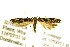  ( - JD1280)  @11 [ ] CreativeCommons - Attribution Non-Commercial Share-Alike (2018) Jean-François Landry Canadian National Collection