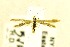  ( - CNCLEP00174794)  @13 [ ] CreativeCommons - Attribution Non-Commercial Share-Alike (2017) Canadian National Collection Canadian National Collection