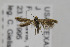  ( - CNCLEP00013885)  @12 [ ] CreativeCommons - Attribution Non-Commercial Share-Alike (2013) Jean-Francois Landry Canadian National Collection