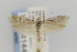  ( - CNCLEP00014144)  @14 [ ] CreativeCommons - Attribution Non-Commercial Share-Alike (2013) Jean-Francois Landry Canadian National Collection